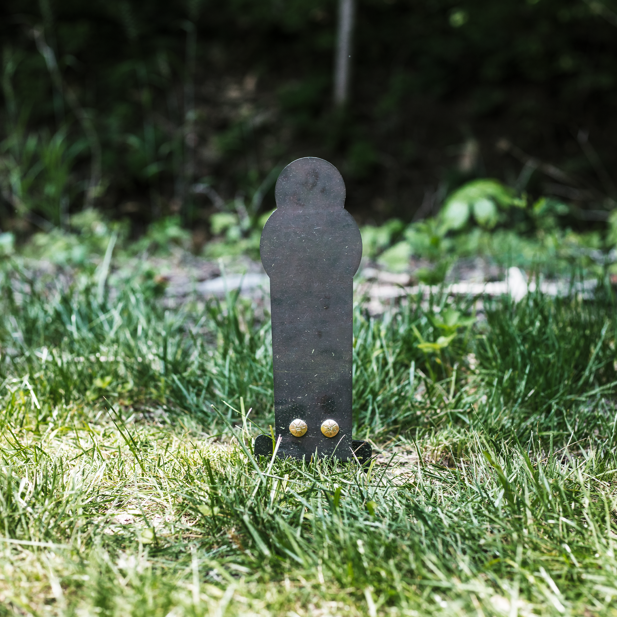 Assembled raw 12" steel rimfire popper target staked into the ground