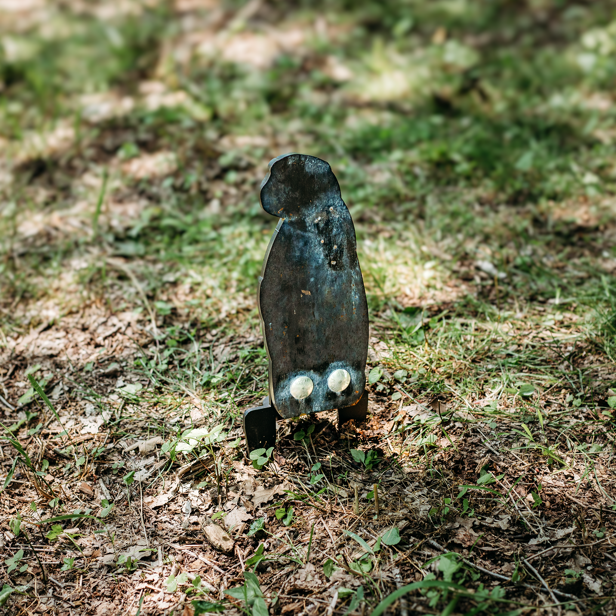 Raw prairie dog-shaped steel target  that has been shot mounted on ground stake stomped into the grass