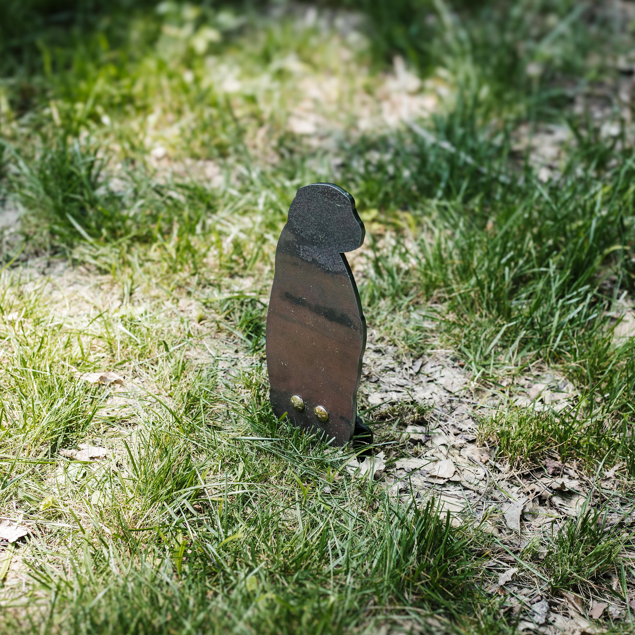 Raw prairie dog-shaped steel 22LR target on ground stake stomped into the grass