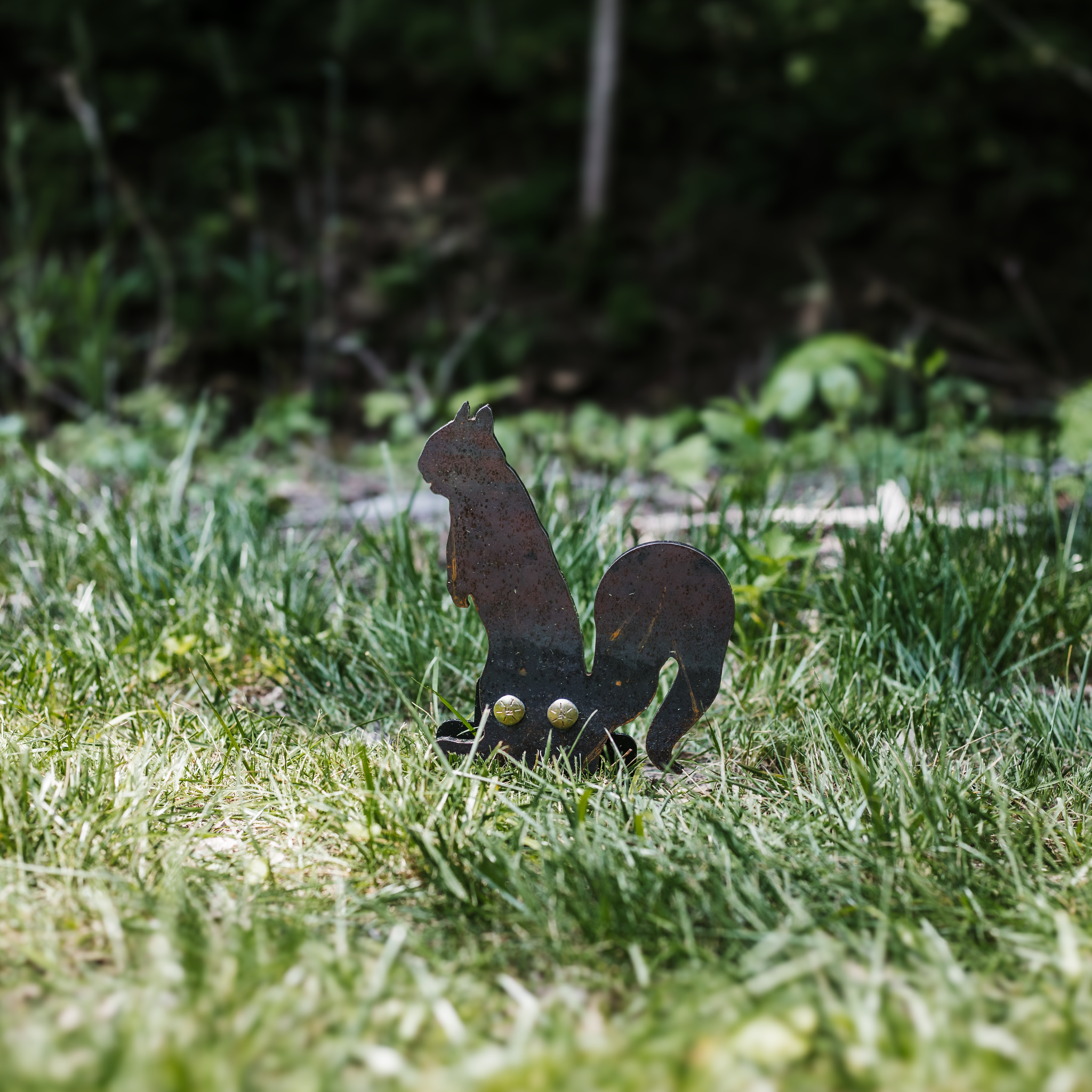 Raw squirrel steel target for rimfire shooting staked into the ground, grass surrounding the squirrel target