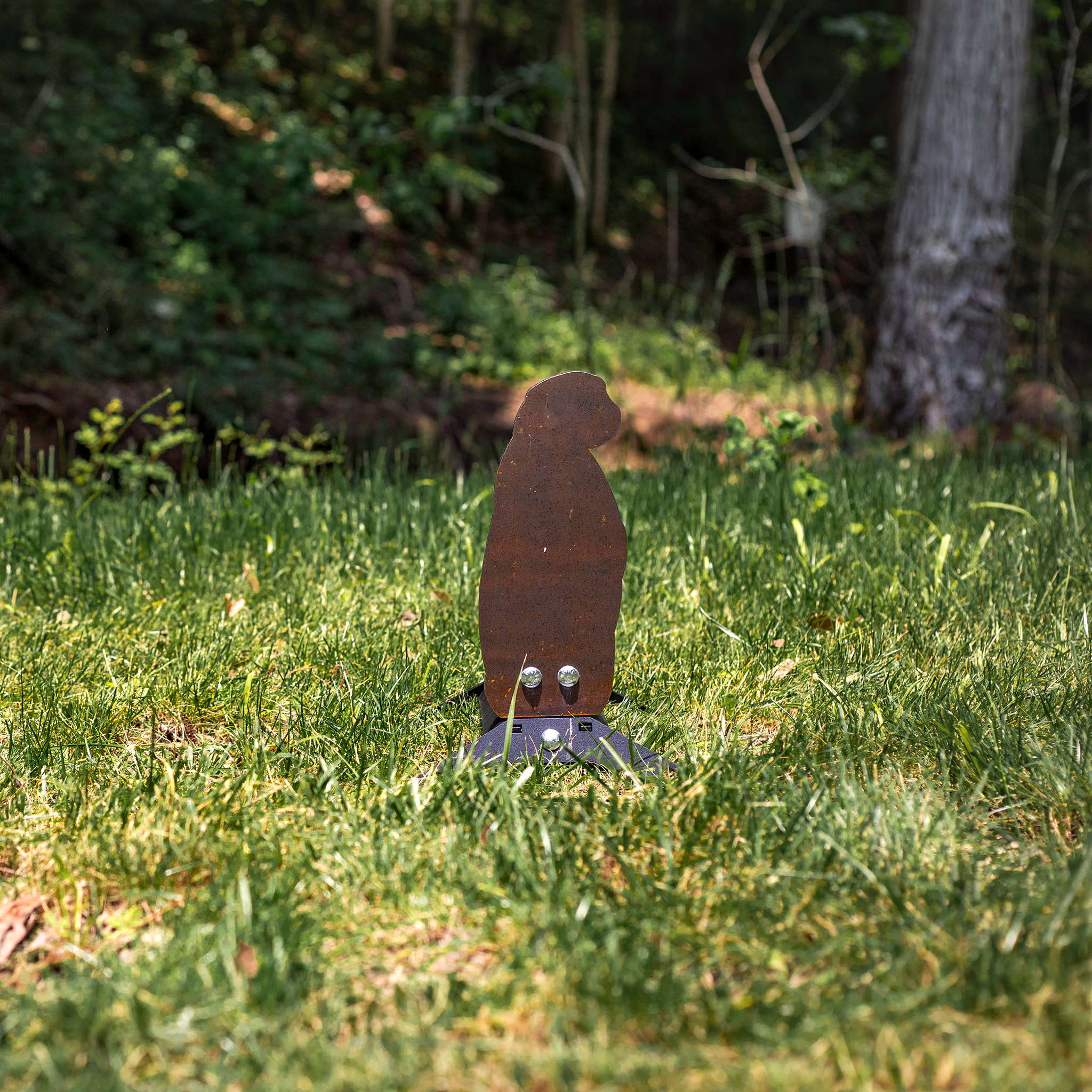 Raw prairie dog-shaped steel 22LR target on automatic spring popper stand in the grass