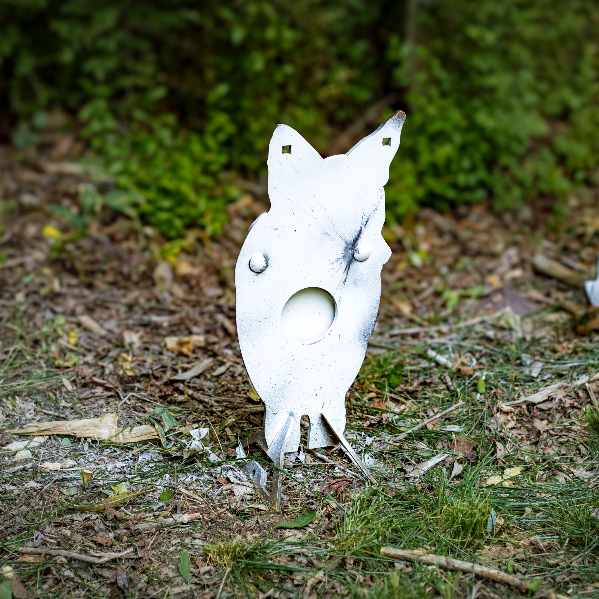 Angled shot of forward facing coyote with swinging vital paddle in the woods