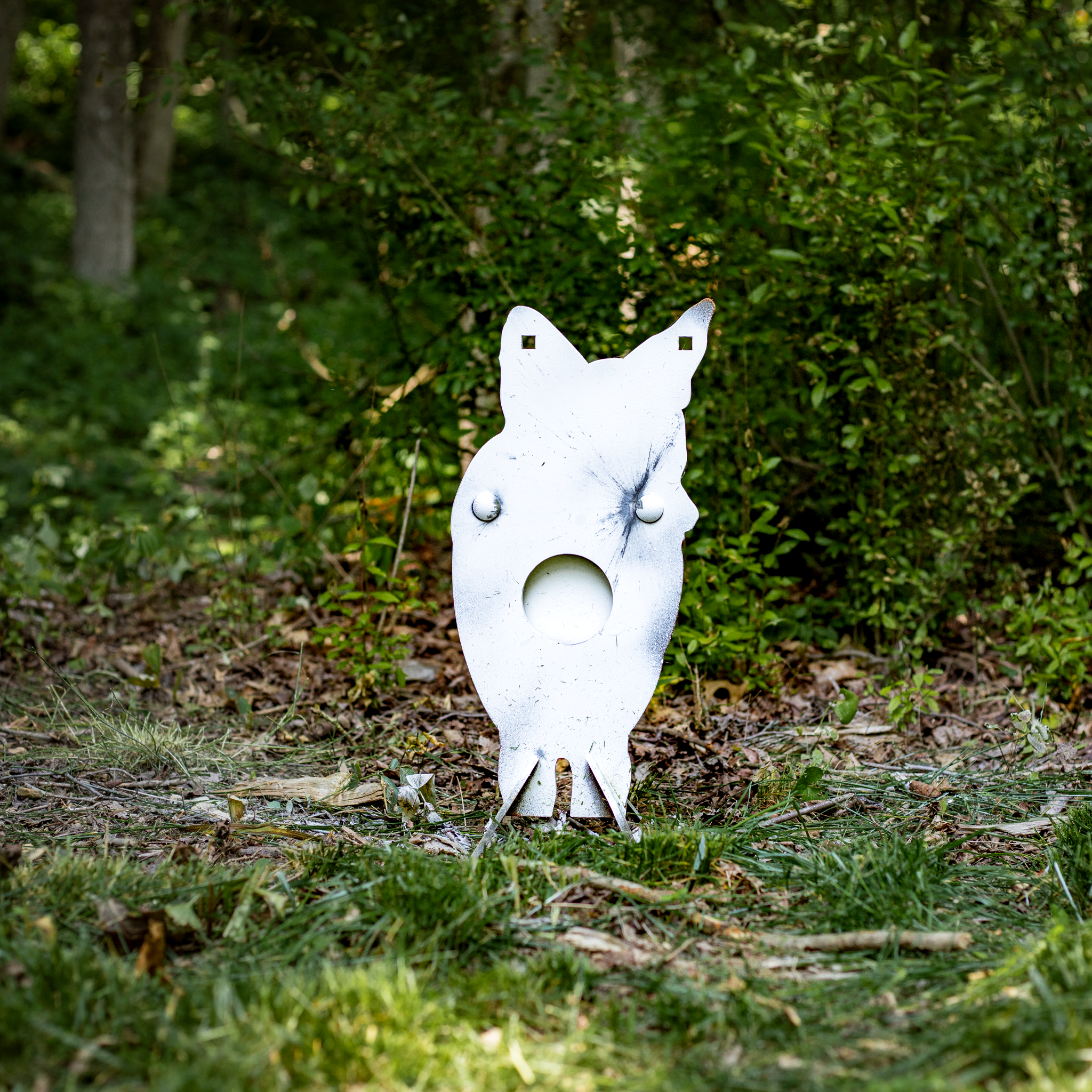 spray painted forward facing coyote with swinging vital paddle in the woods