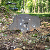 Raw wild boar steel target with swinging steel vital area paddle