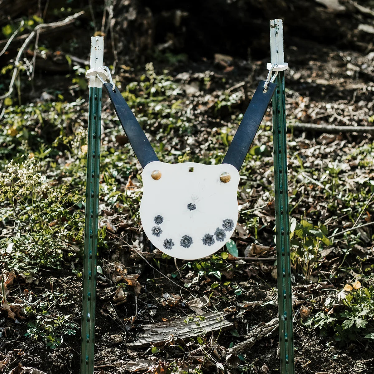 "The Ultimate Guide to Setting up a Home Shooting Range"