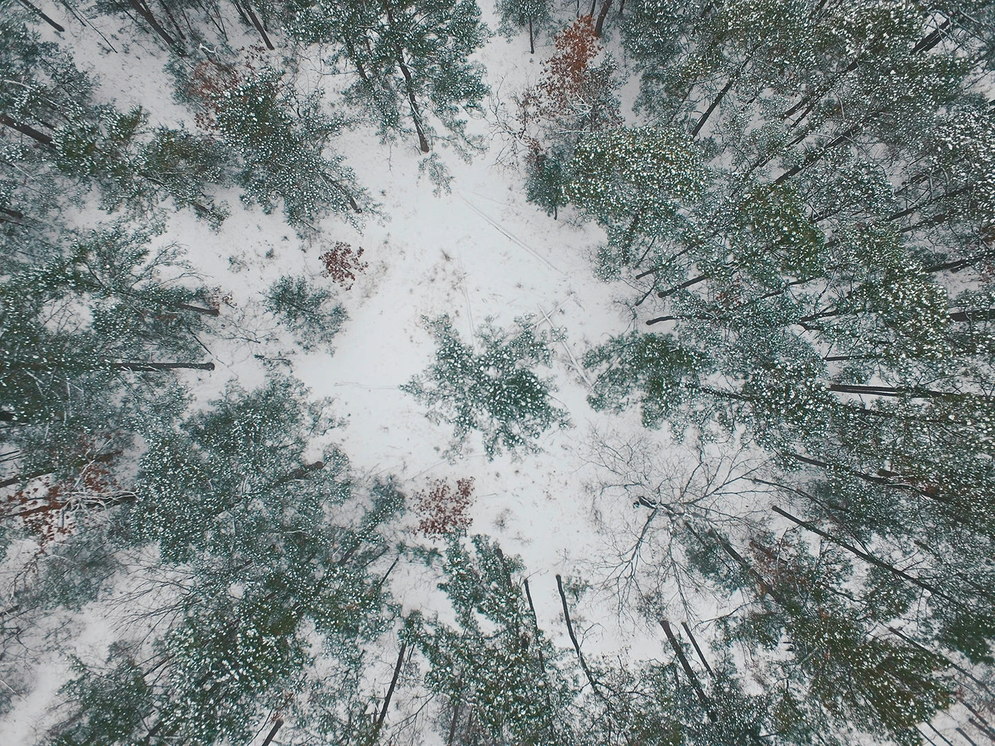 Cold Weather Shooting Tips: How to Protect and Store Gear in Winter